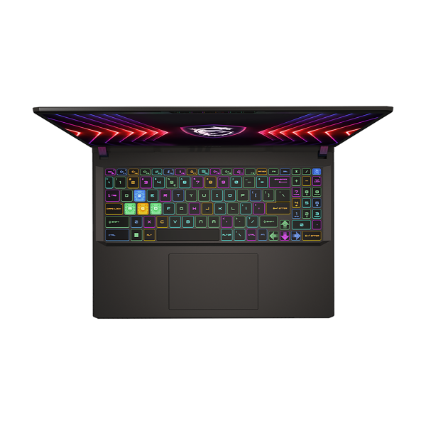Ноутбук MSI Vector 16 16" 2560x1600 QHD+ 240Hz IPS (Intel Core i9 14900HX, 16GB RAM DDR5, 1TB SSD, NVIDIA GeForce RTX 4060, Windows 11 Pro) A14VFG-246US