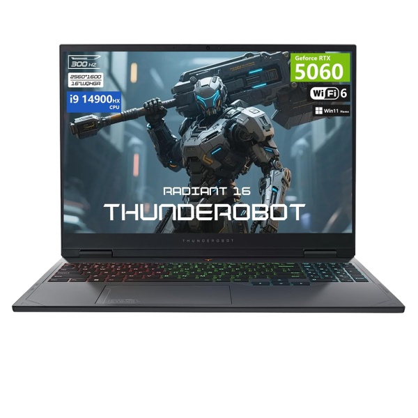 Ноутбук  Thunderobot Radiant 16 2560x1600 240Hz ( Intel Core i9-14900HX, 32 GB DDR5, 1 TB SSD, RTX 5060, Windows 11 Home)